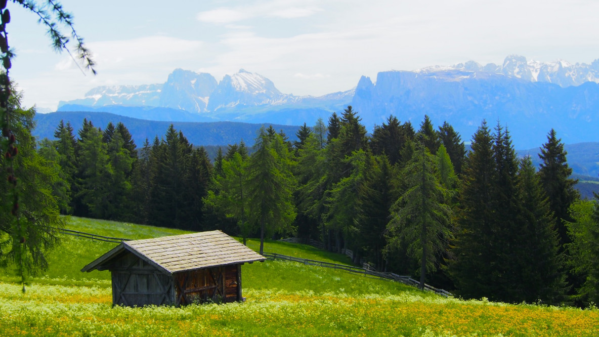 Herrliche Landschaft