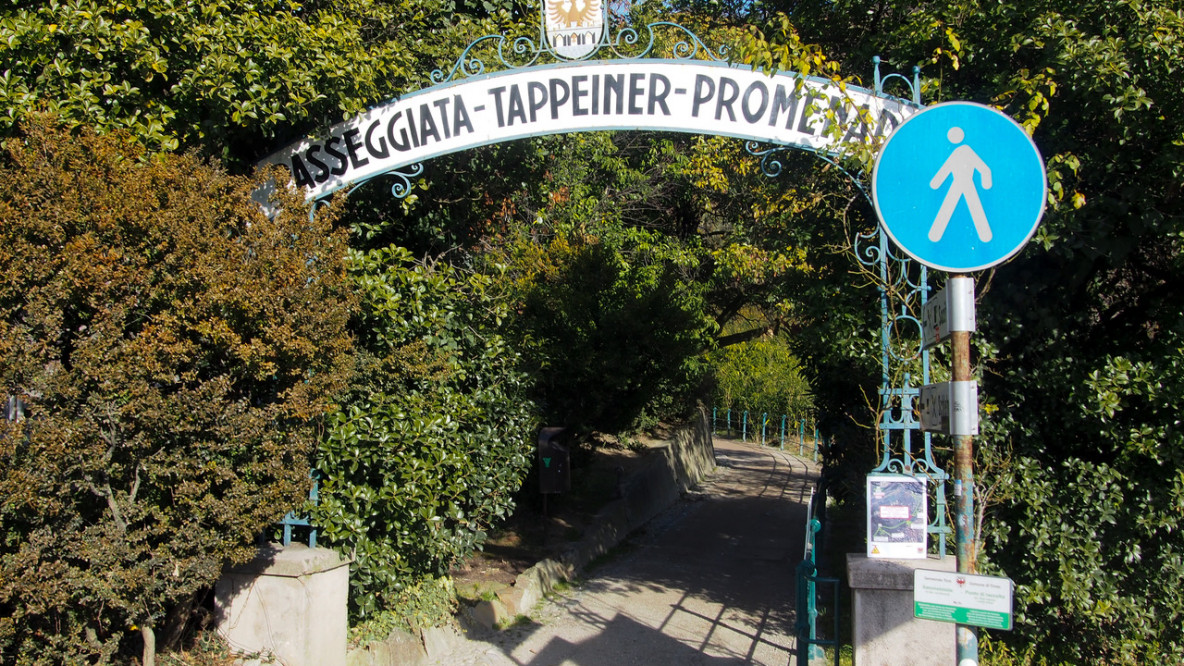 Die Tappeinerpromenade beginnt