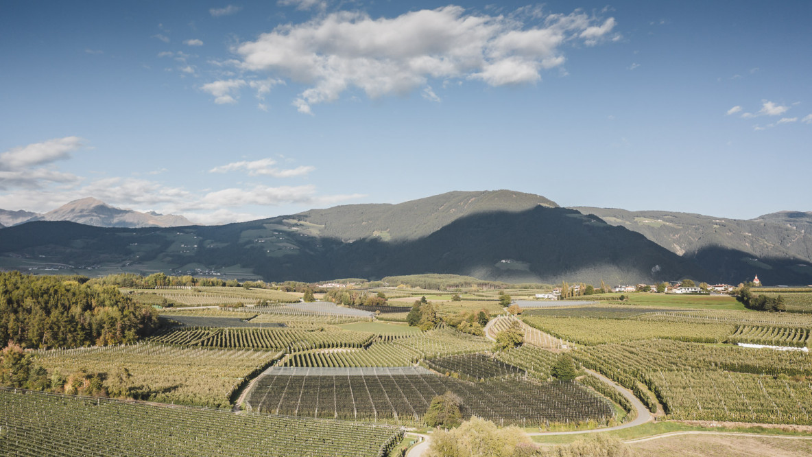 Agricoltura, Alto Adige, mele