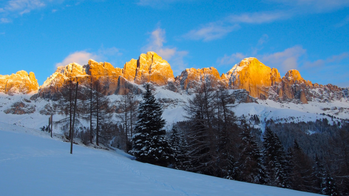 Der Rosengarten im Abendlicht