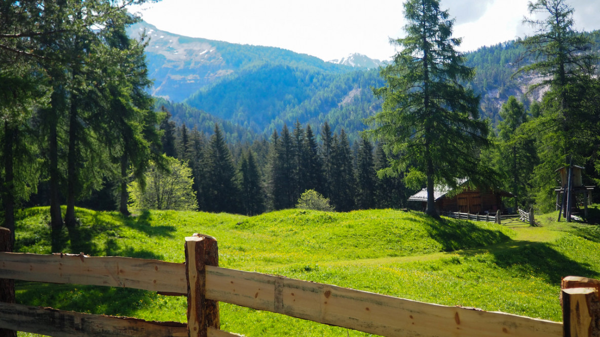 Zur Lahneralm an der Bletterbachschlucht