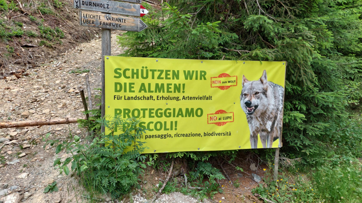 Nein zum Wolf