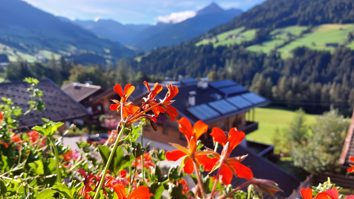 20220827_haus_barbara.jpg