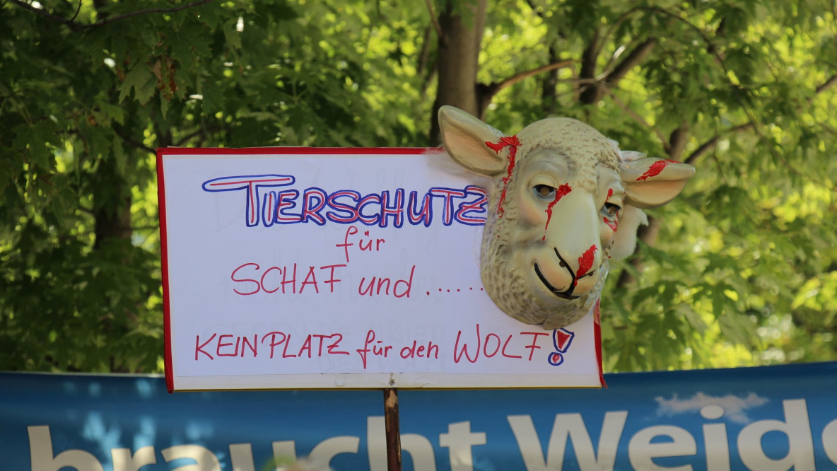 Demo 3. Juli Innsbruck