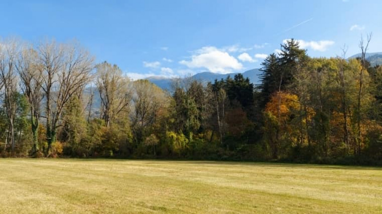 Retten wir den Brixner Auwald - Salviamo il bosco ripariale di Bressanone
