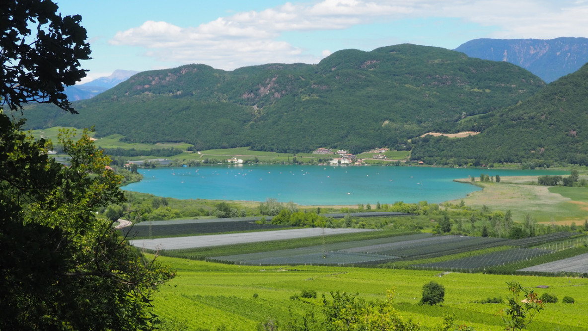 Blick zurück zum Kalterer See