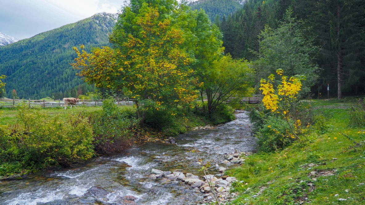 Der Valschauerbach