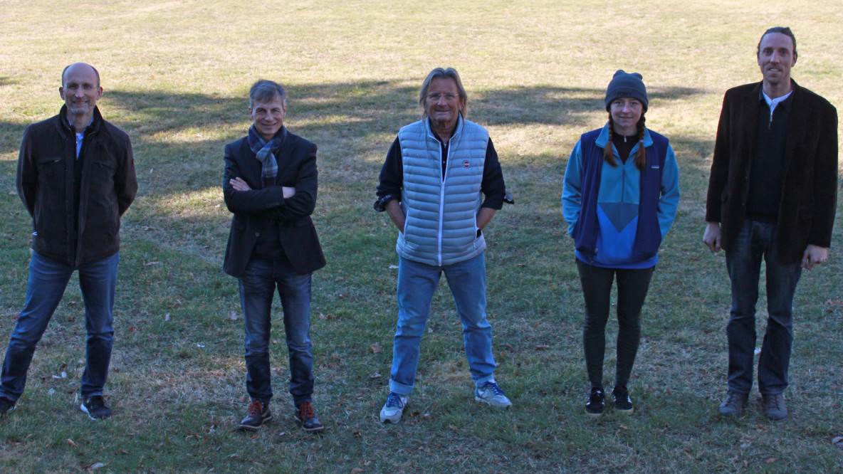 dachverband