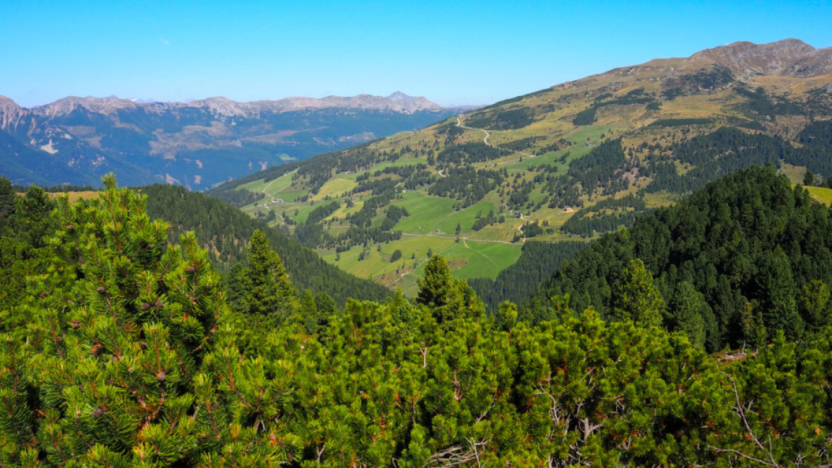 5_blick_ins_sarntal_nach_reinswald.jpeg