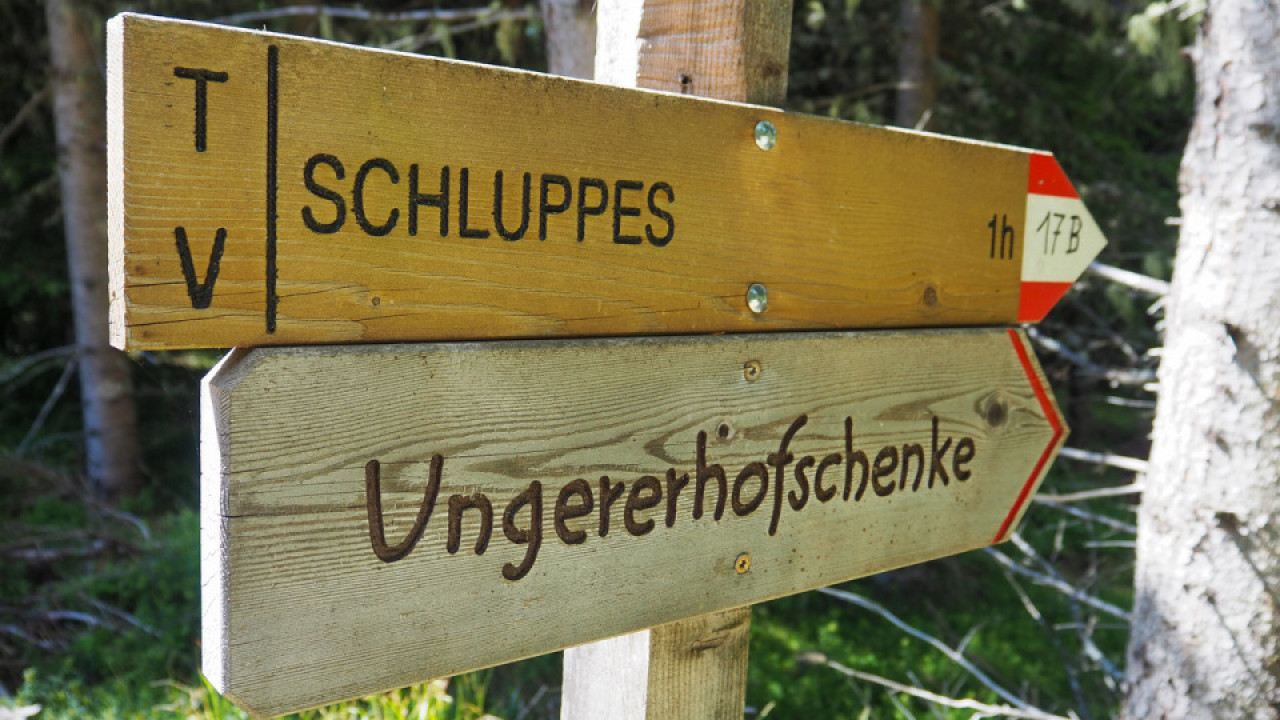 8-abstieg_nach_schluppes_und_zur_ungererhofschenke.jpeg