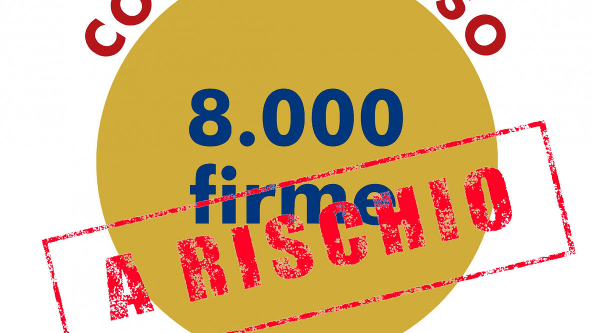 8000-firme.jpg