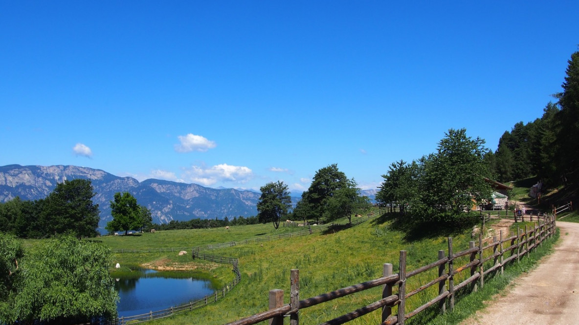 Die Alm mit ihren Weiden liegt aussichtsreich neben einem Teich am Waldrand