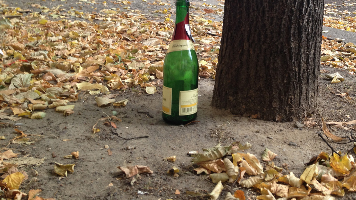 Flasche im Park