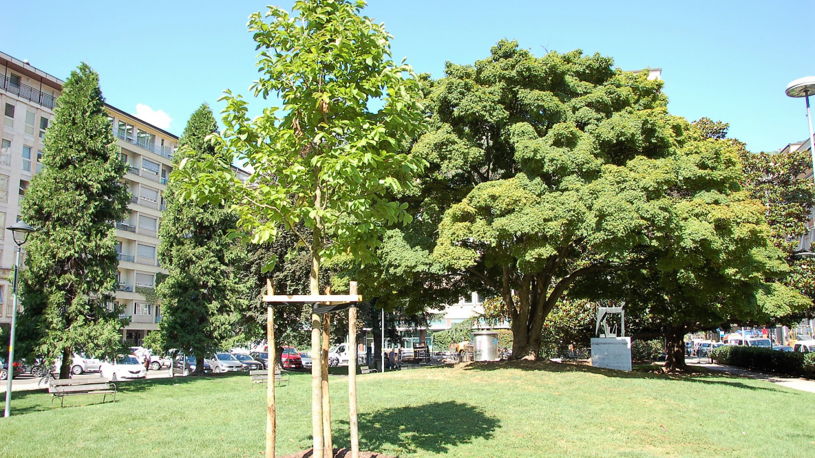 Parco piazza Mazzini