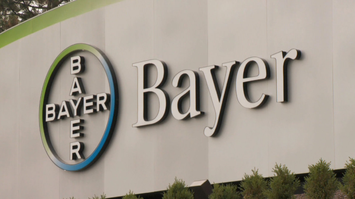 bayer.jpg