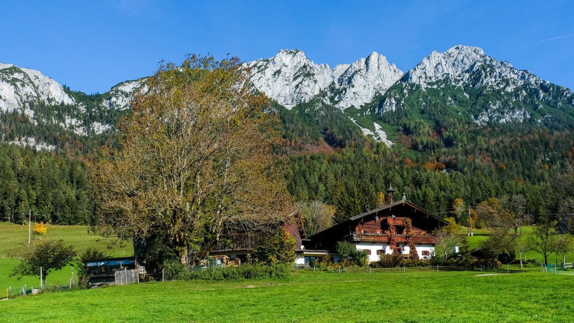 bergbauernhof.jpg