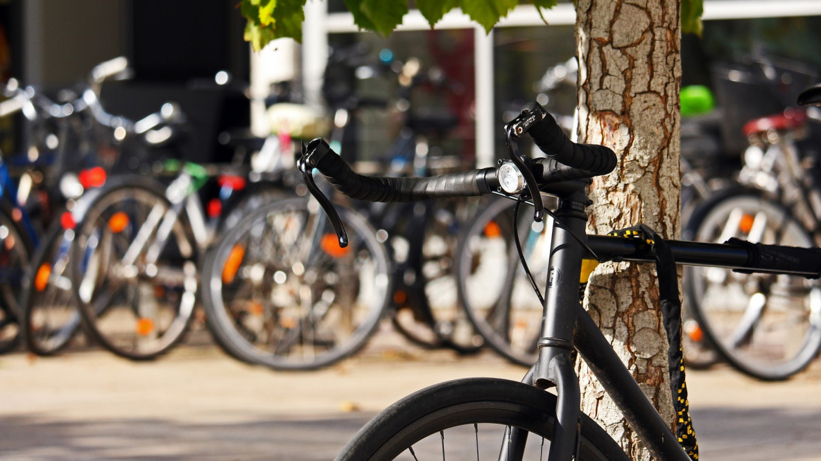 Biciclette in città