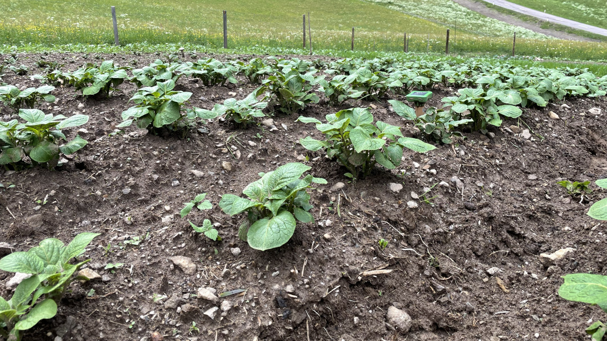 bio_landwirtschaft_2.jpg