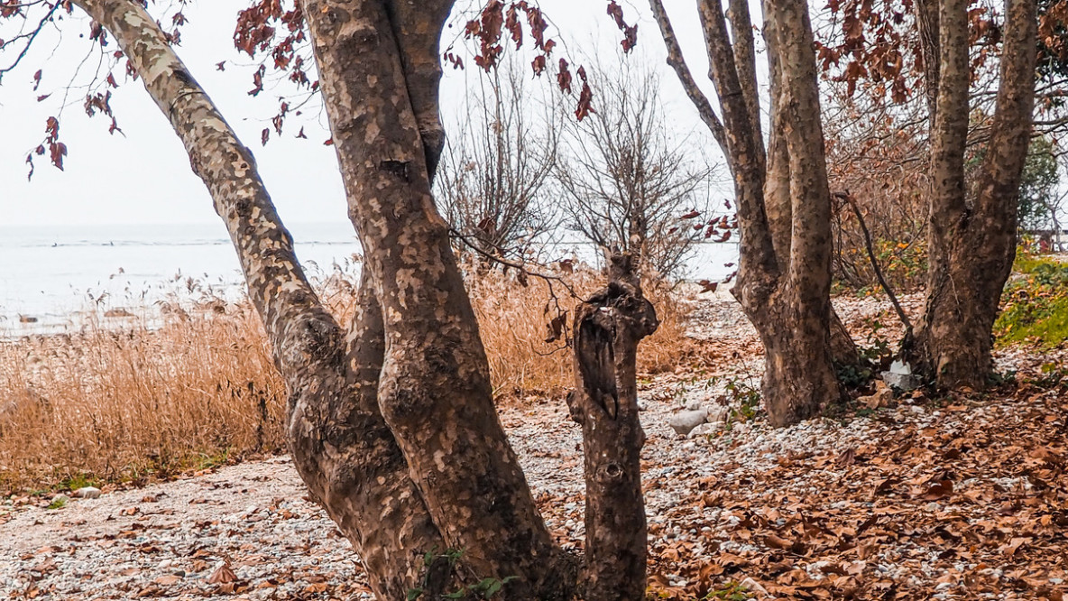 coverbild-gardasee-manerba_desenzano.jpeg