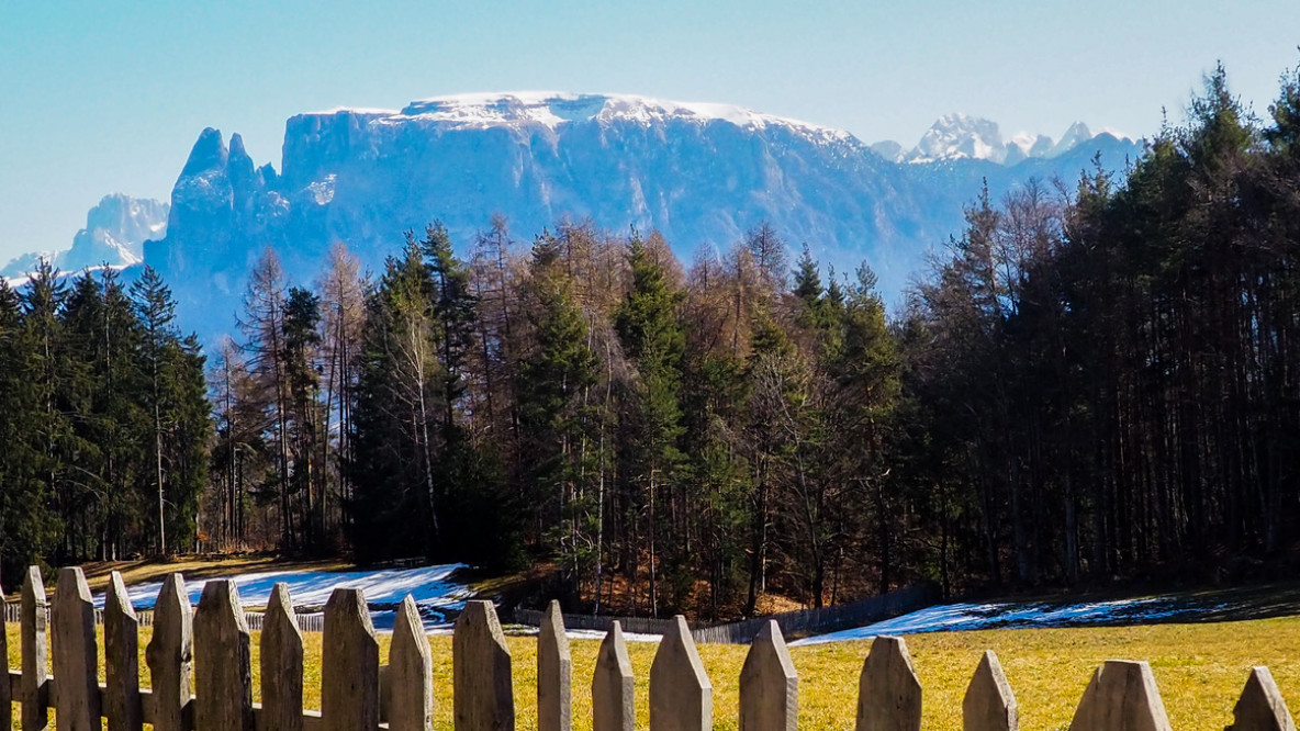 coverbild_ritten_freudpromenade.jpeg