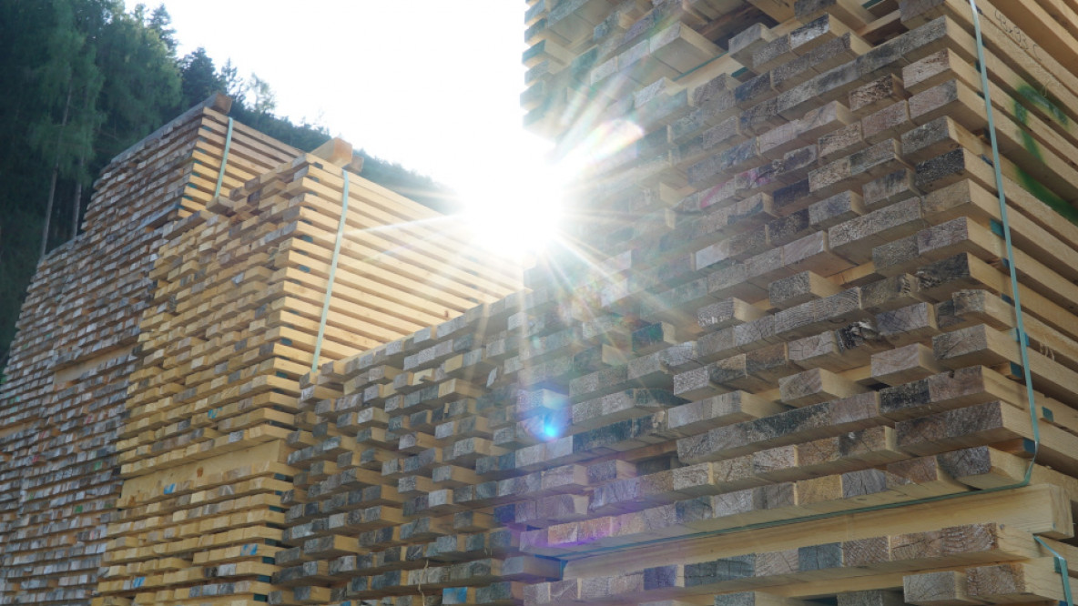 Holz11.jpg