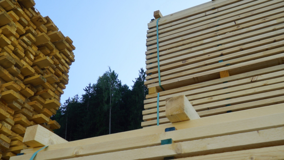 Holz13.jpg