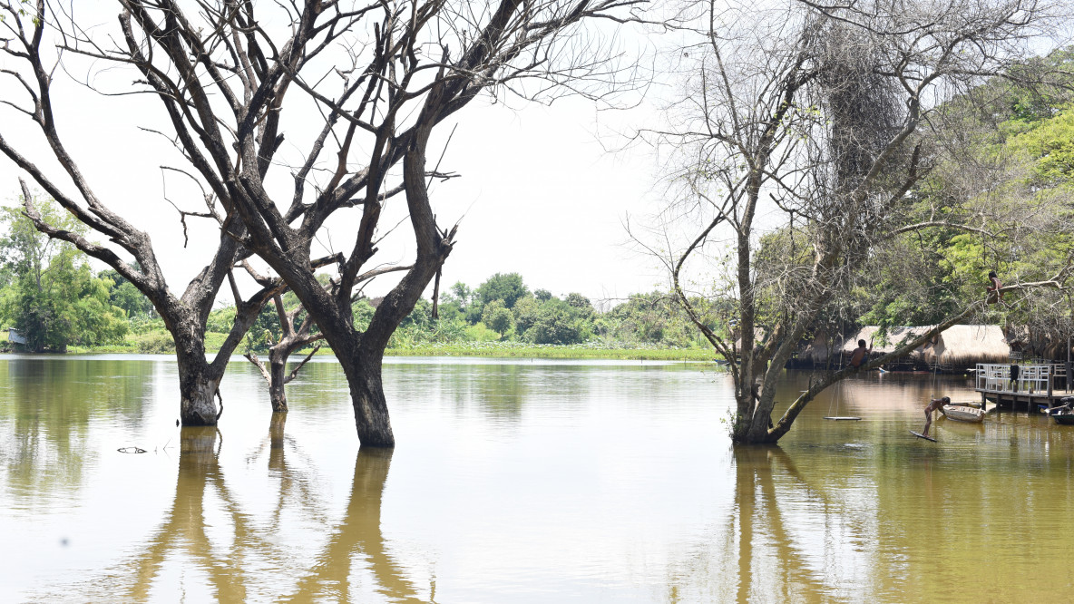 Dintorni di Battambang