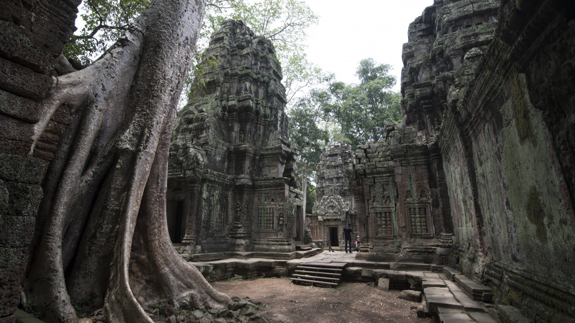 Ta Prohm Temple