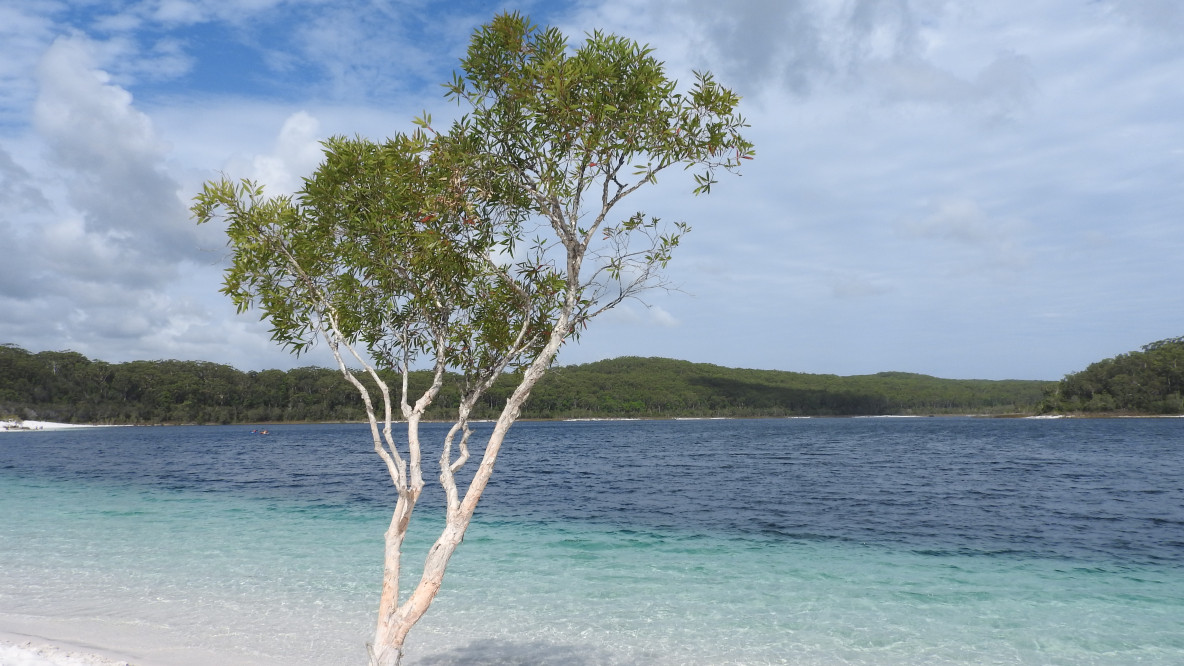 Lake McKenzie