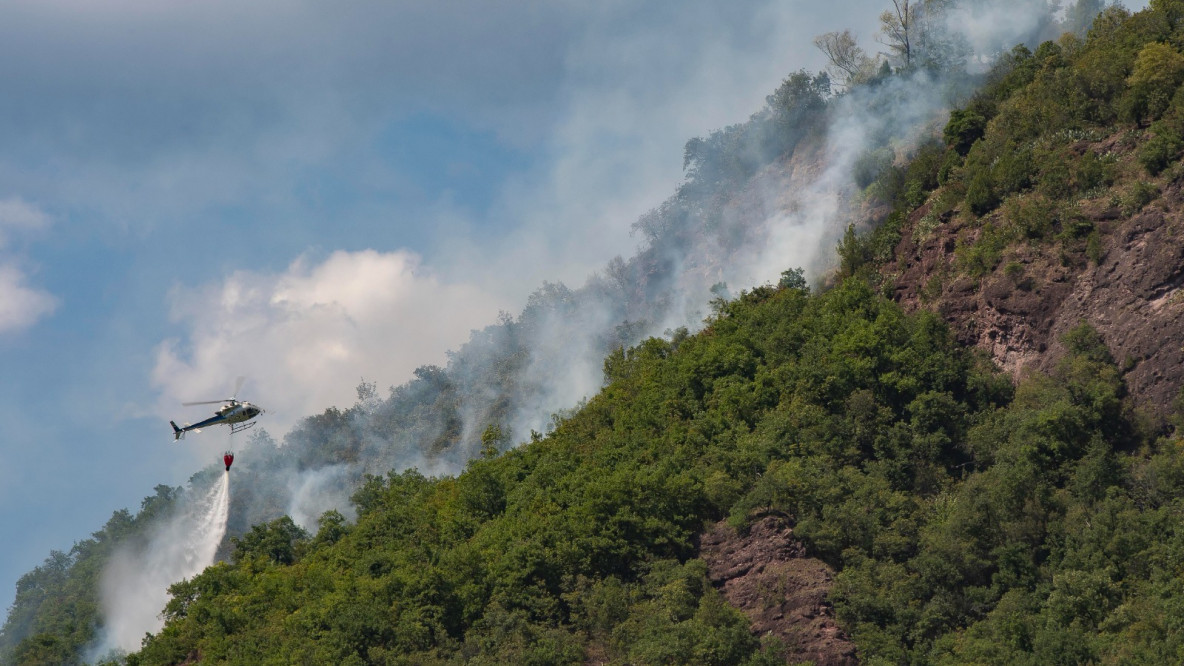 feuer am hortenberg / incendio sant'osvaldo / brand bozen