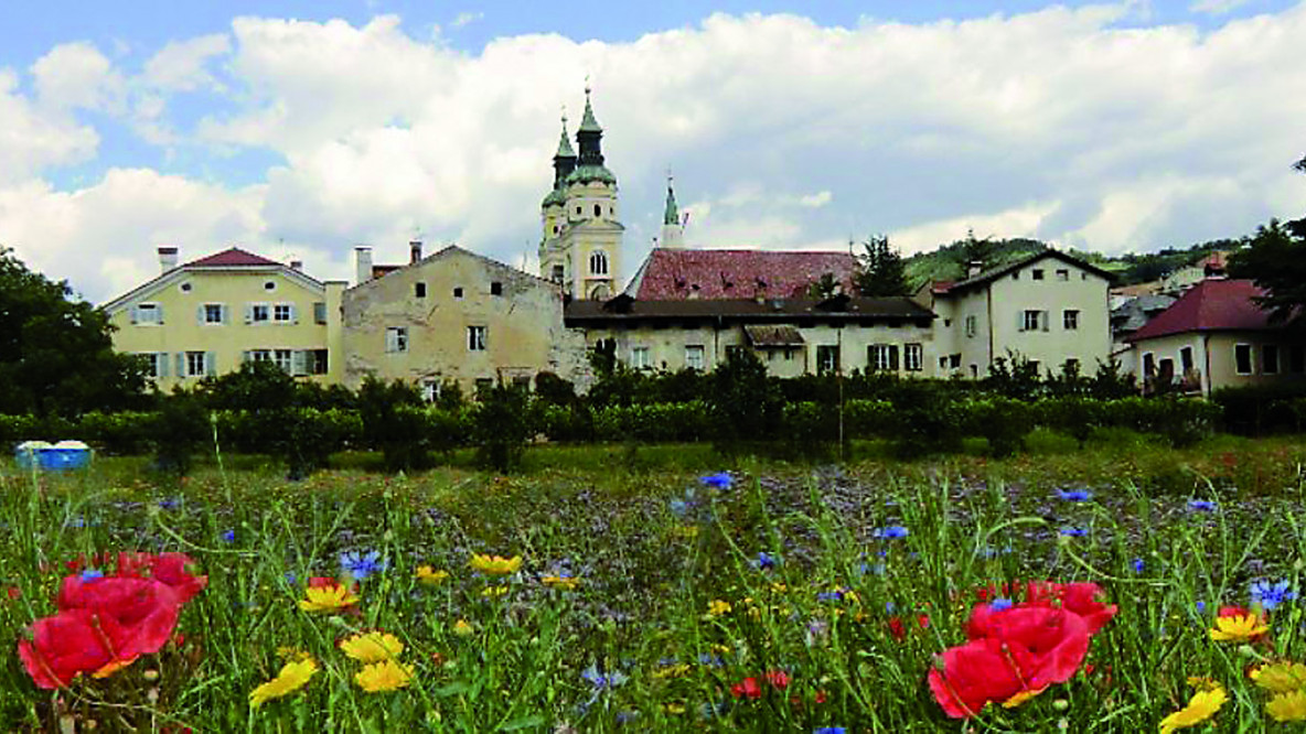 Hofburggarten