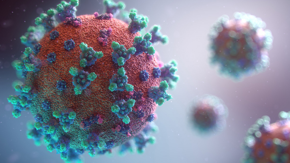 Coronavirus - Animation