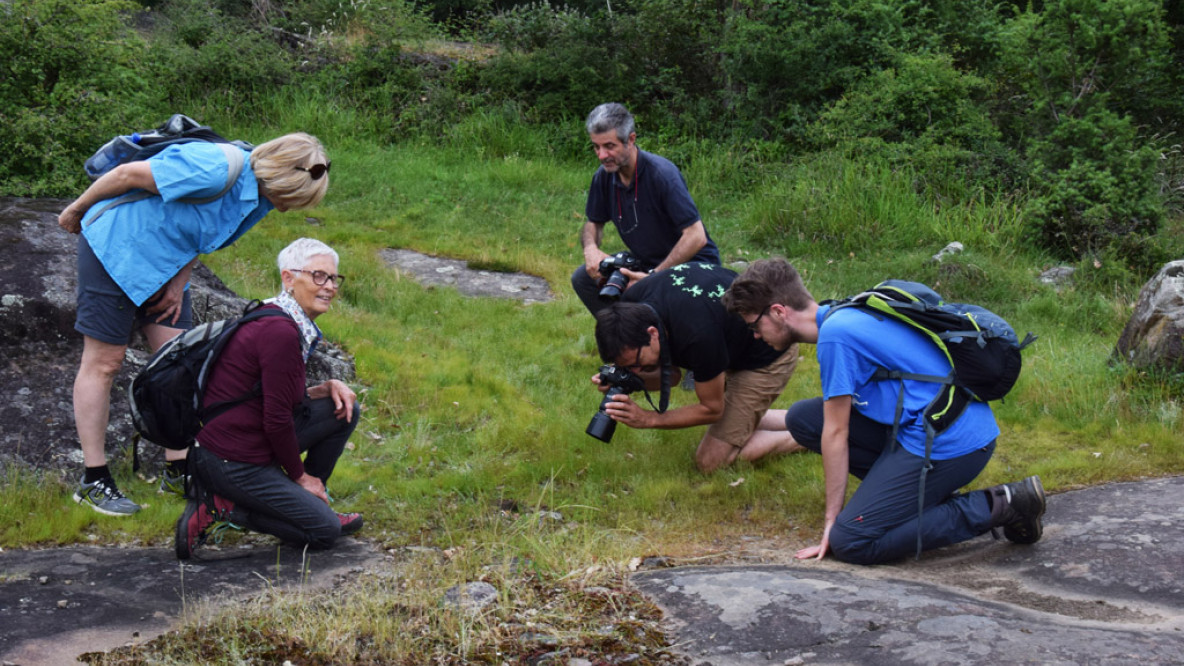 gruppo_di_lavoro_flora_dellalto_adige_alla_ricerca_di_specie_rare_castelfeder.jpg