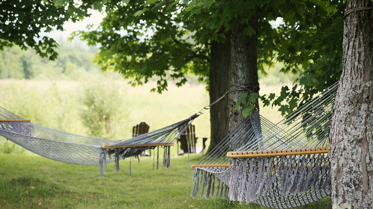 hammocks