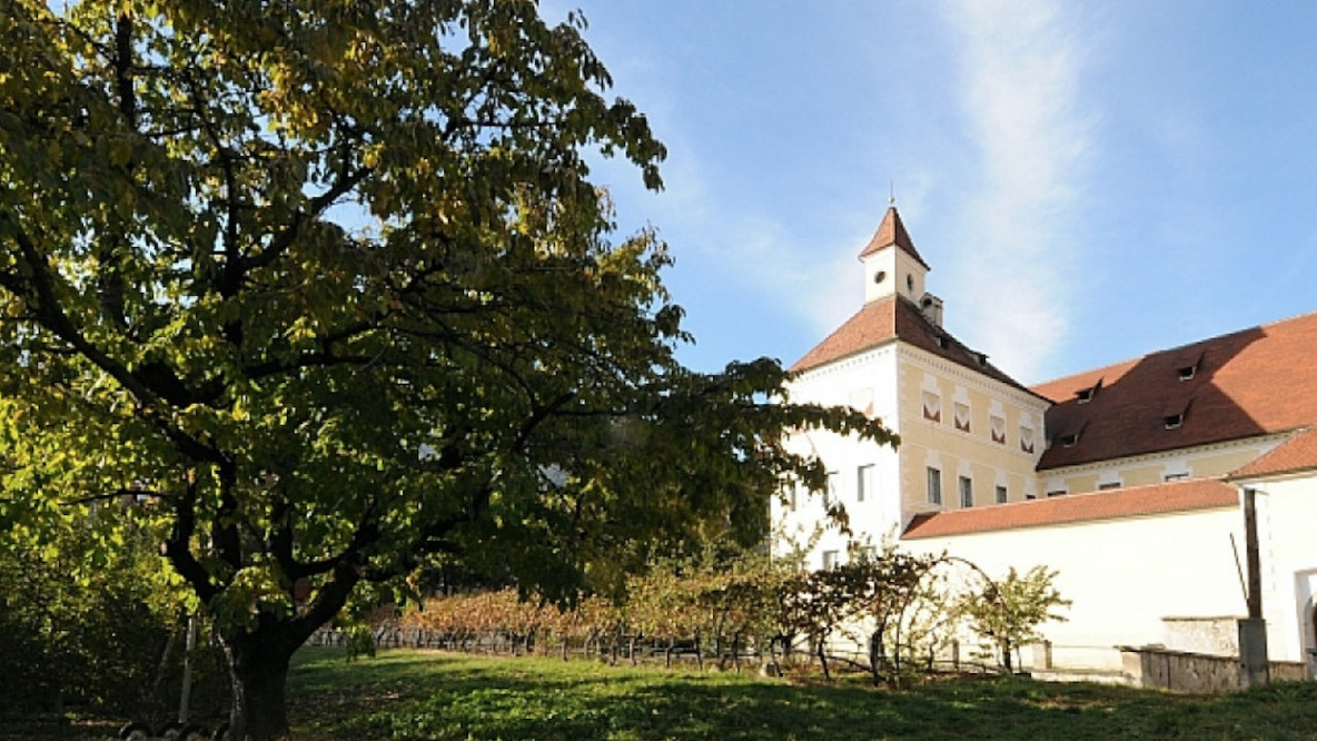 hofburggarten.jpg