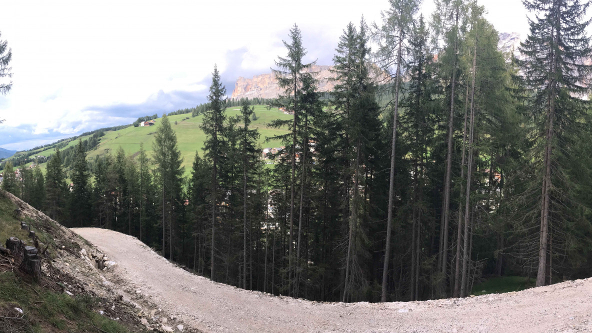 La strada nel bosco di Sorega, San Cassiano