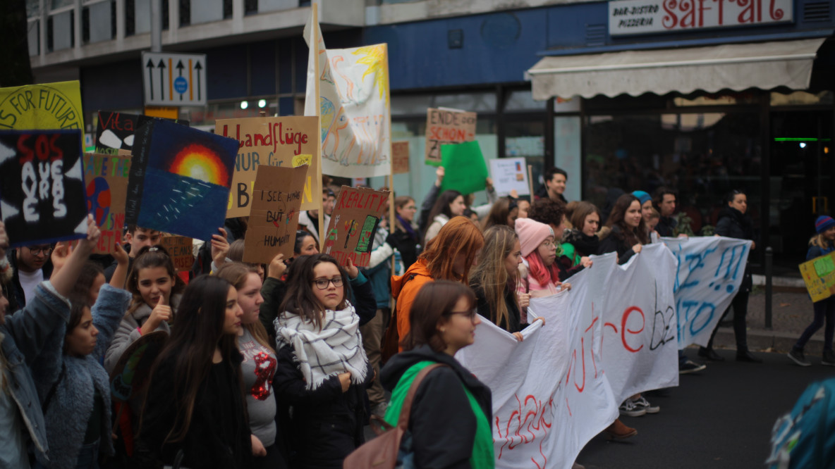 Fridays for Future 29112019