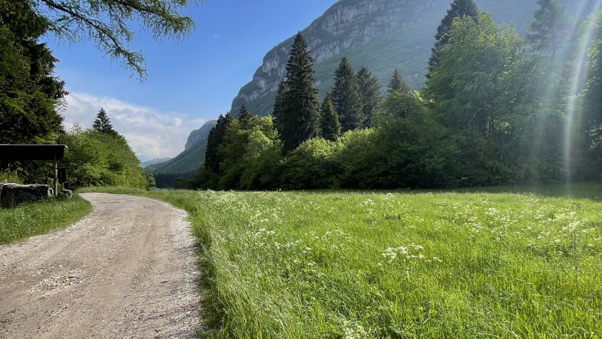 Der Weg in die Freiheit