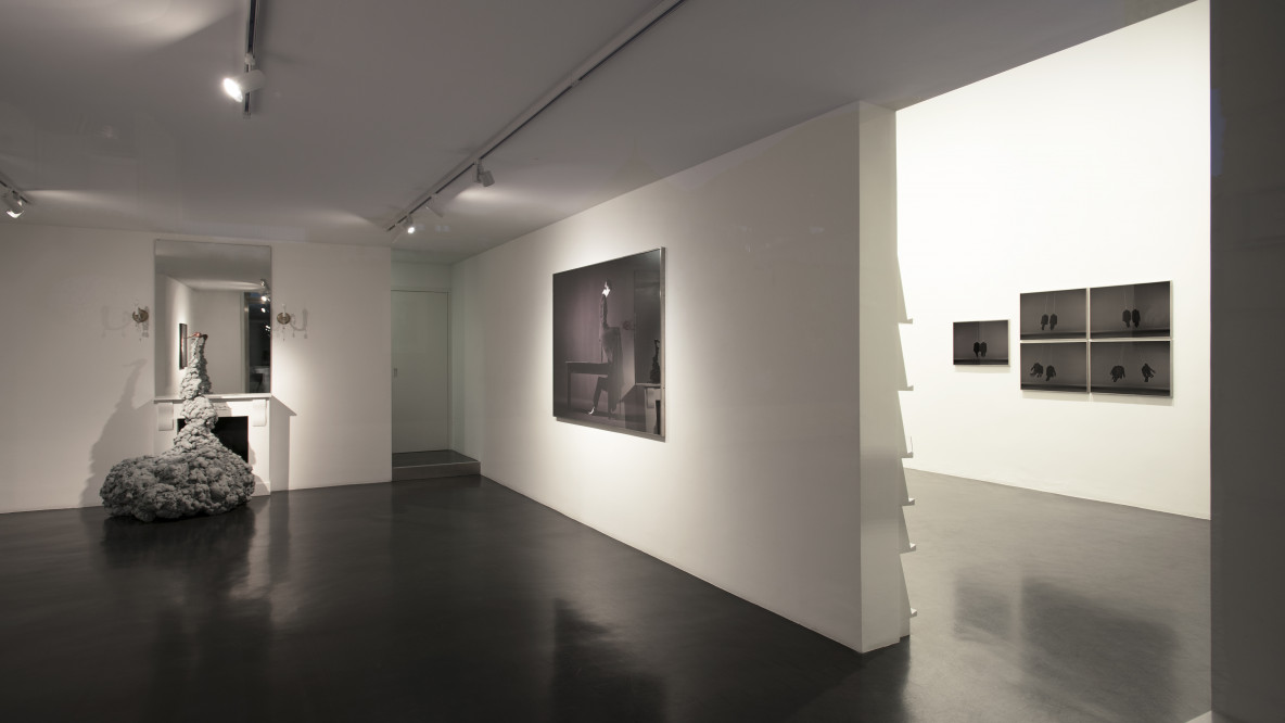 Art Gallery3