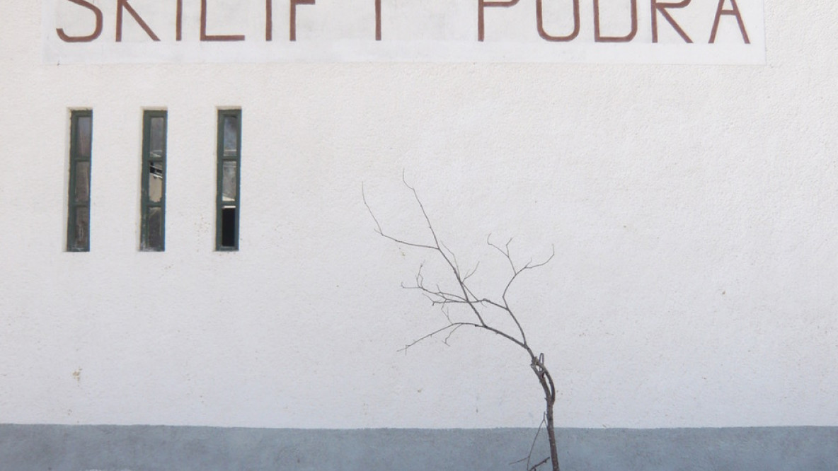 l1030801.jpg
