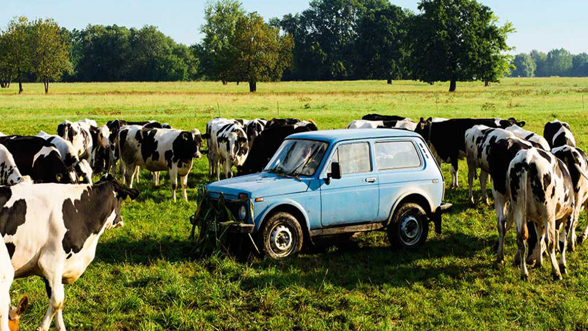 lada.jpg