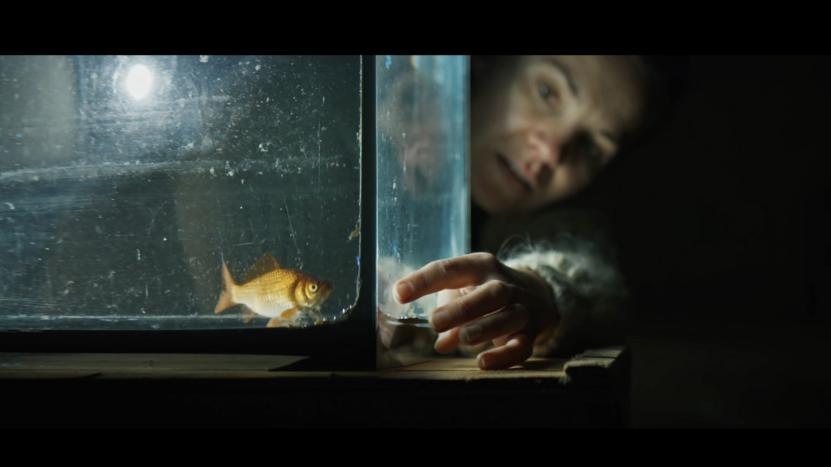 Screenshot aus „Animal” (1)
