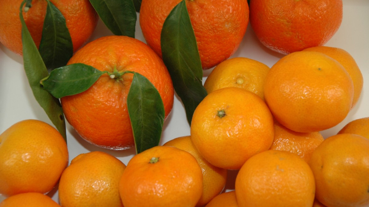 Mandarine-Clementine