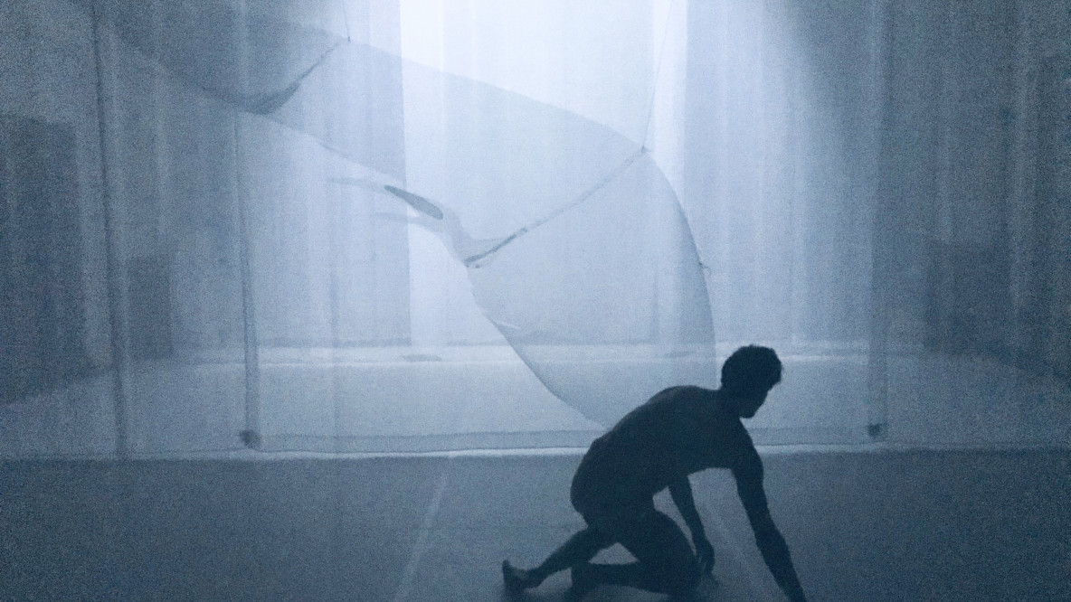 metamorphosis
