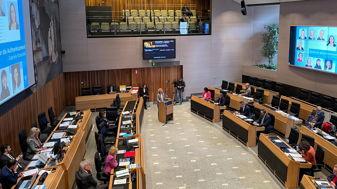 morandell_landtag.jpeg