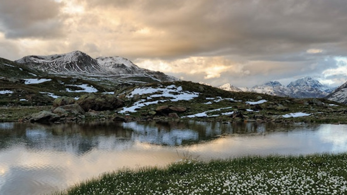 nationalpark_stilfserjoch.jpg