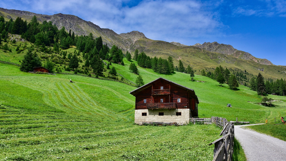 Soziale Landwirtschaft