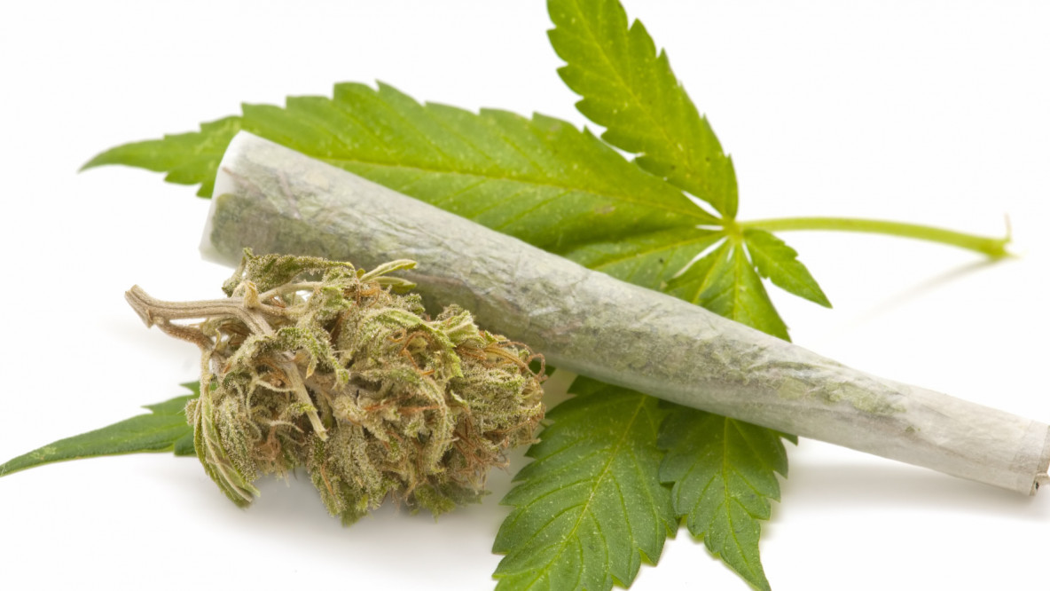 marihuana.jpg