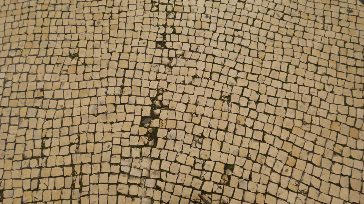 p1000574.jpg