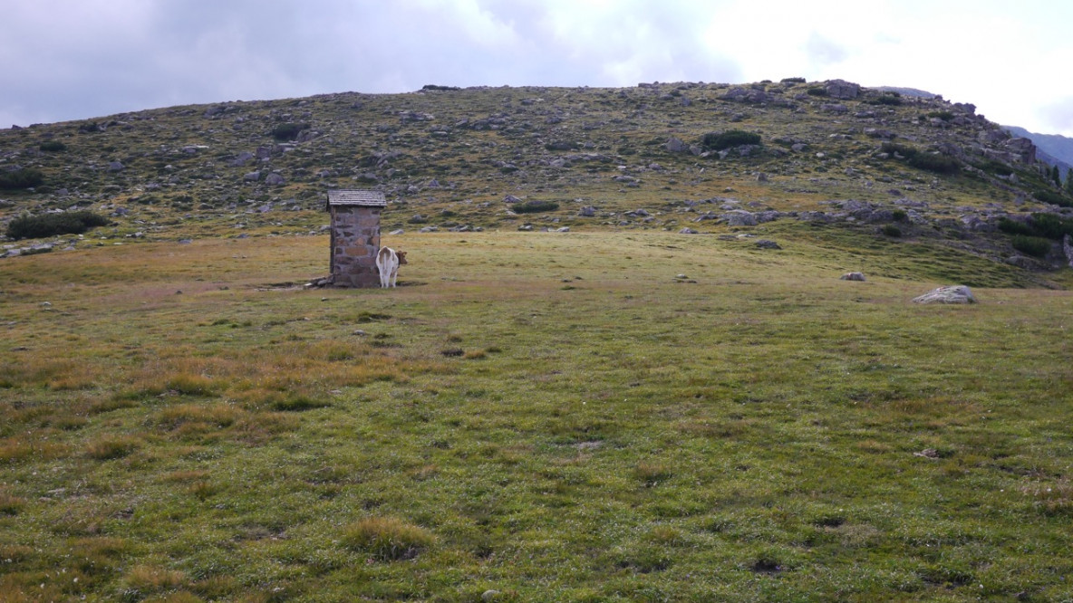 p1120744.jpeg